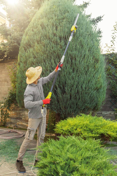 Best Soil Testing and Treatment  in Lindsay, TX